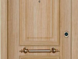 porta-xeiropoihtwn-tampladwn