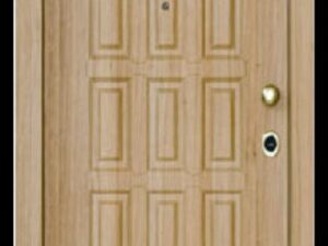 sxedio-pantografoy-088